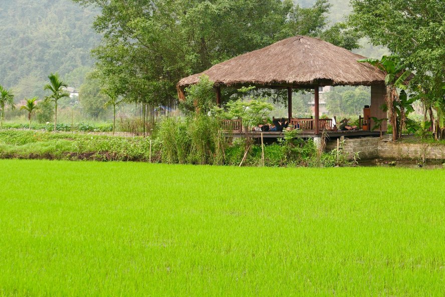 谭阔花园度假村-浴室