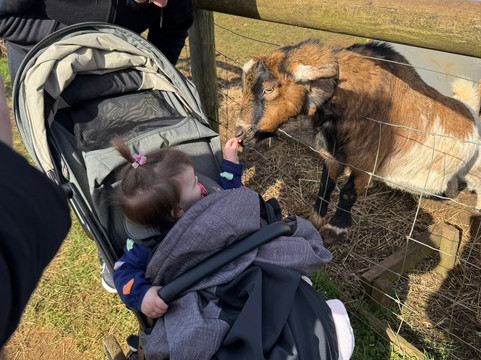 Fairytale Farm-奇平诺顿必去景点