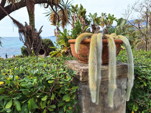 Villa Maria Serena-芒通必去景点