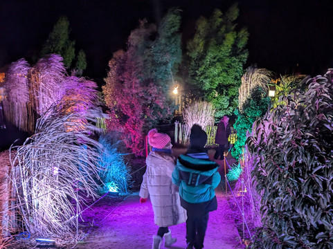 Piglets Adventure Farm-约克必去景点