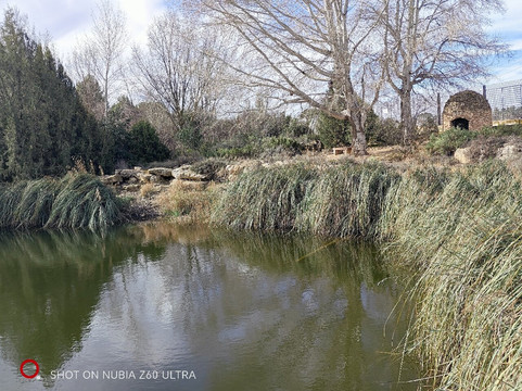 Jardin Botanico de Castilla-La Mancha-阿尔瓦塞特必去景点