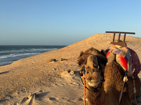 Ranch Des Dunes-达赫拉必去景点