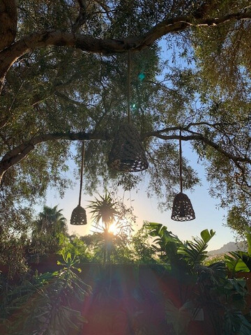 La Posada de Lola - Adults Only主图