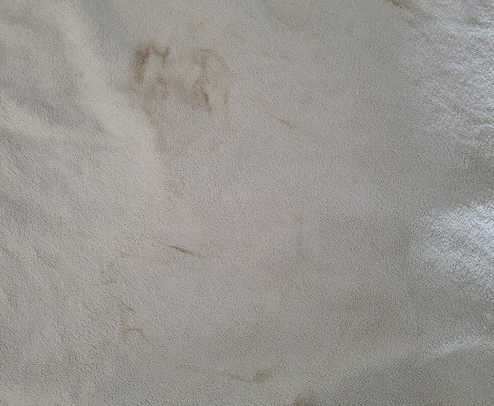 芬恩海滨豪华帐篷度假村主图