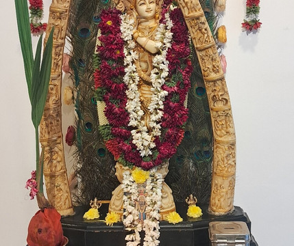 斯里克瑞什纳酒店主图