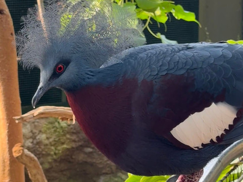 Marwell Zoo-温彻斯特必去景点