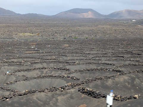 Bodega La Geria-La Geria必去景点