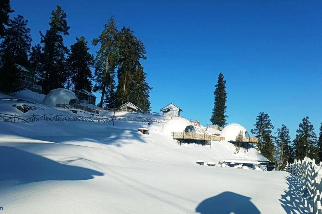 The Zukhara - A Luxury Glamping Dome Resort in Narkanda