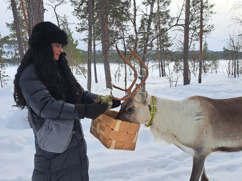 Angeli Reindeer Farm-伊纳里必去景点