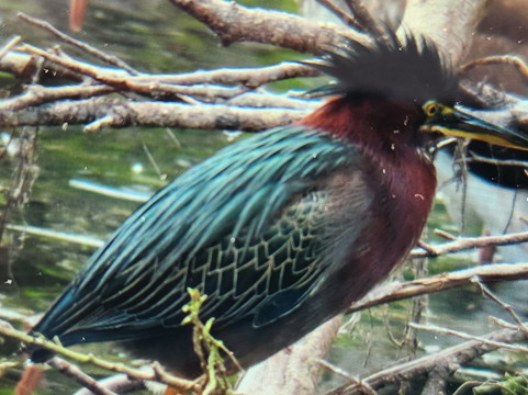 Loop Road-奥乔皮必去景点