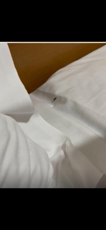 马约拉酒店-官方