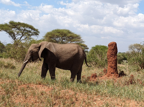 Mamnana Adventures-Olasiti必去景点