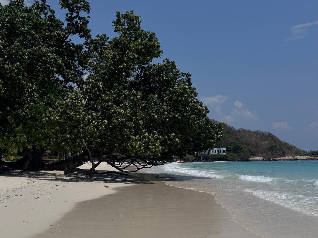 天堂度假村主图