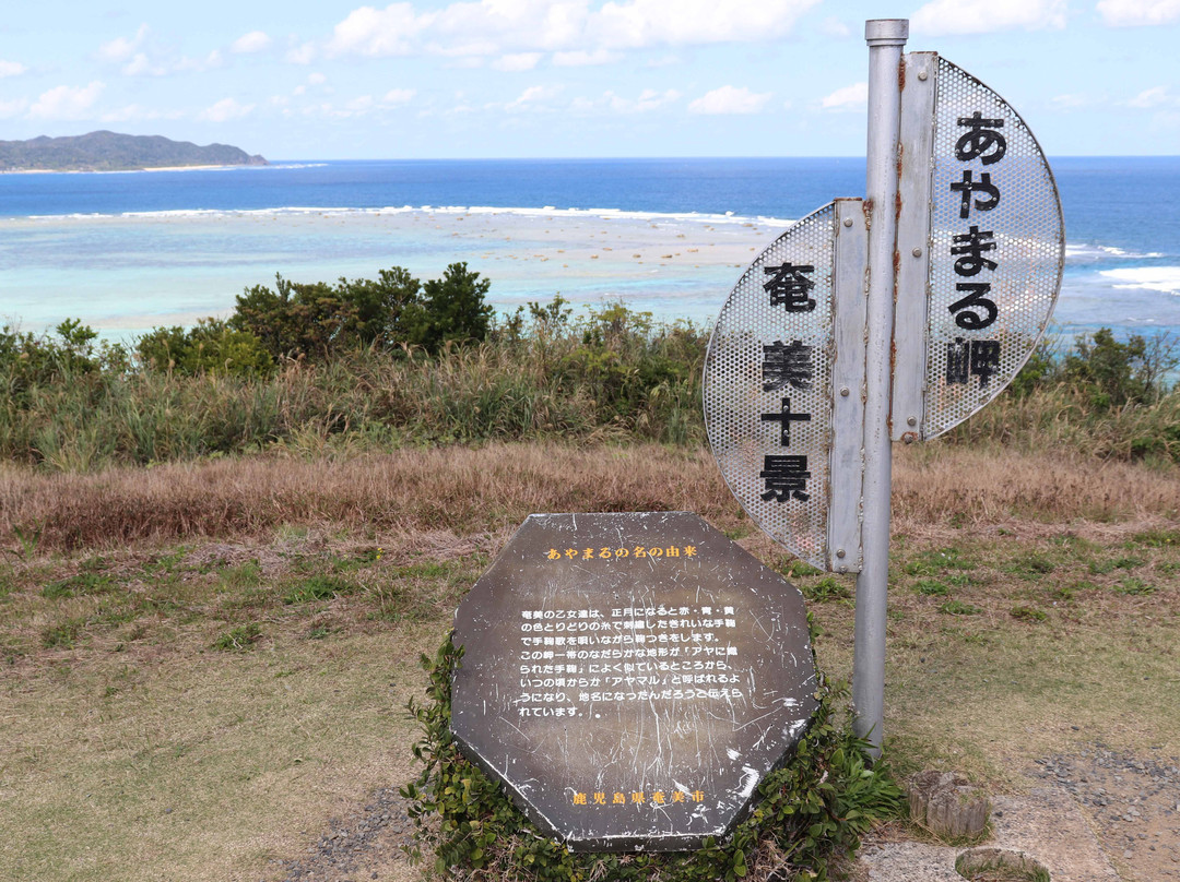Cape Ayamaru Kanko Park-奄美市必去景点