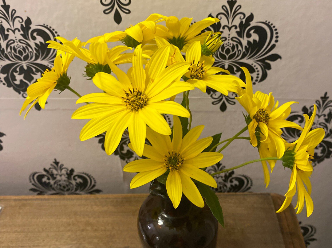 Versión Moreno B & B主图