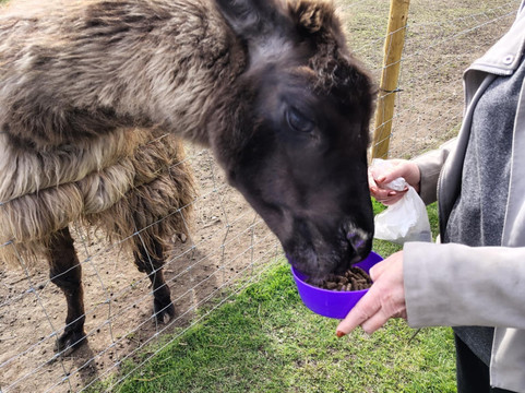 Frankly Farm Tours-Broseley必去景点