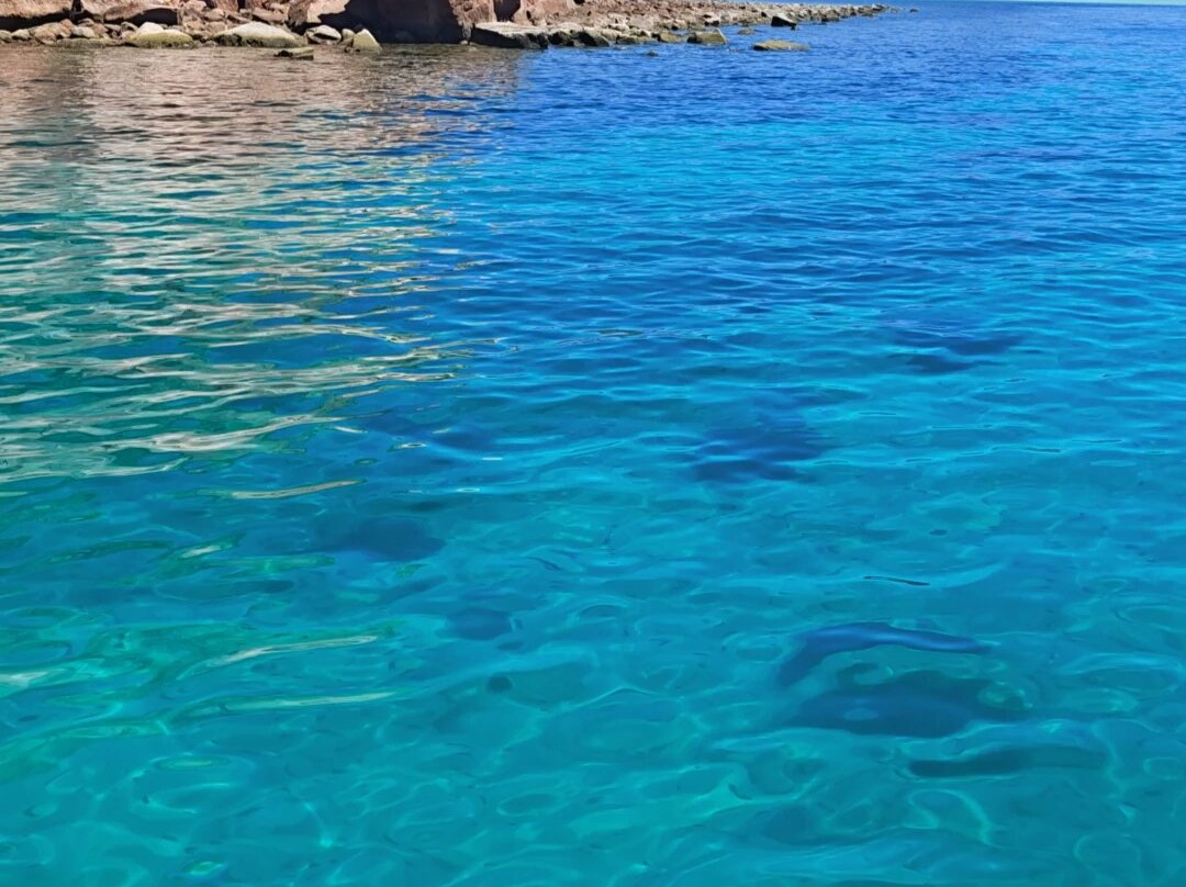 Baja Off Shore-拉巴斯必去景点