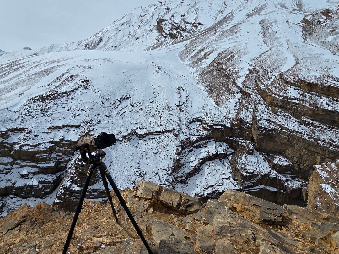 Nature Wanderers-Ramnagar必去景点