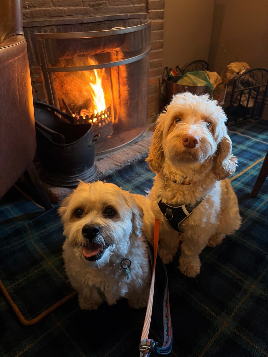 凡人假日客栈-官方