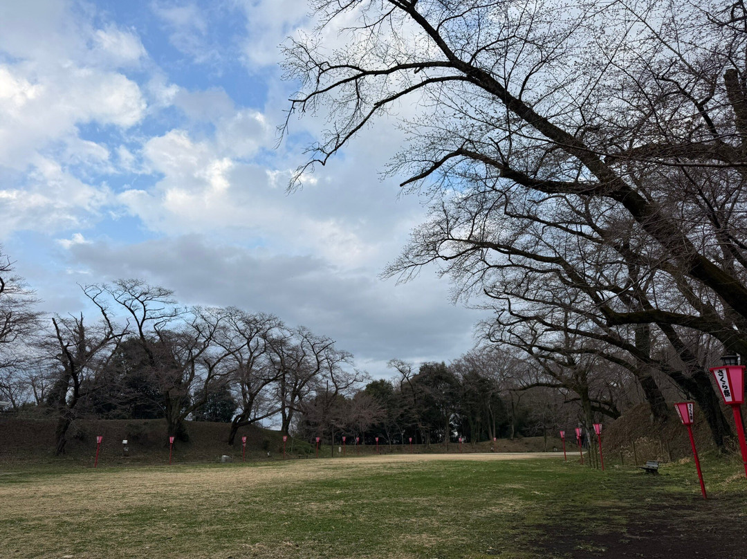 Ryujo Park-太田原市必去景点