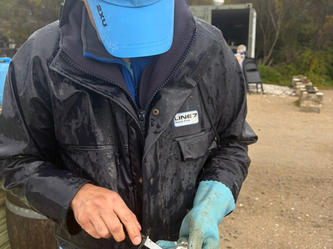 Oyster Bay Tours-科尔斯湾必去景点