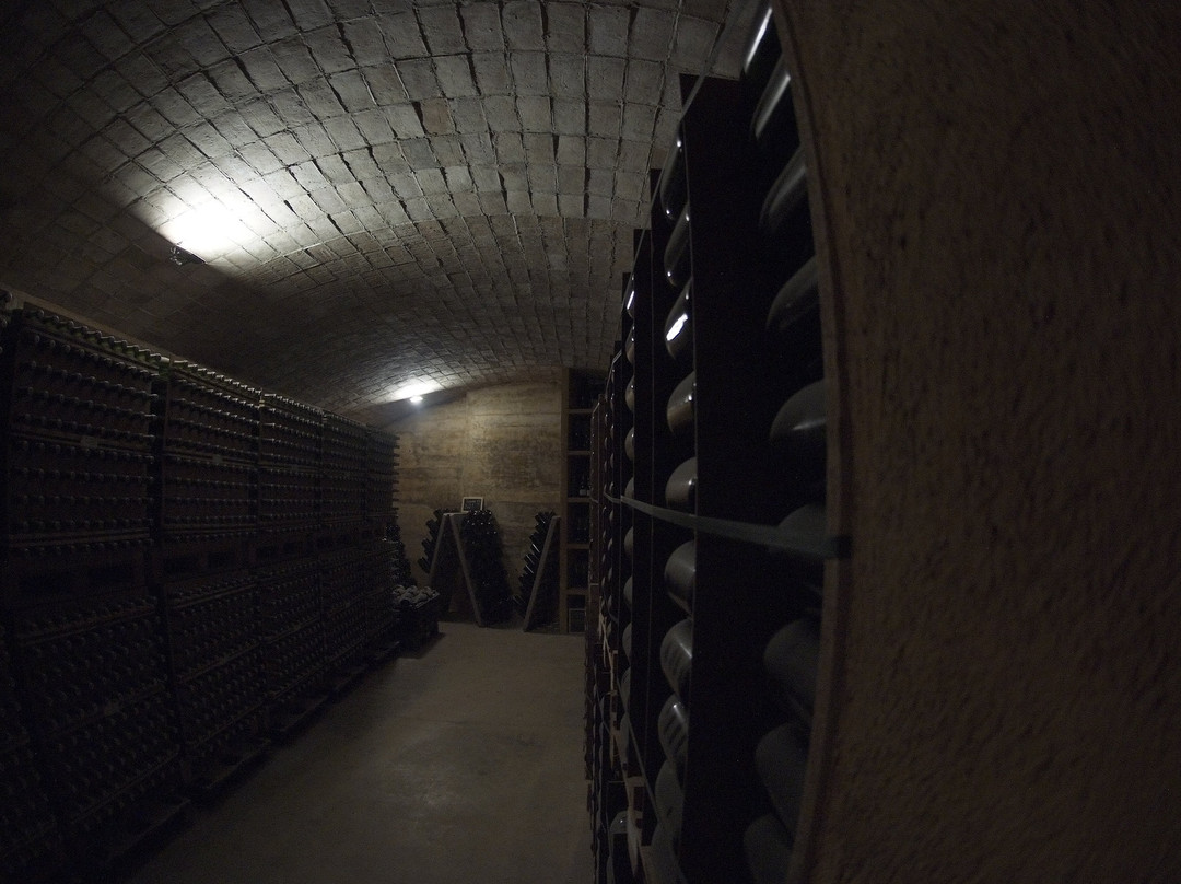 Cava Sola Raventos-桑特萨杜尔尼达诺亚必去景点