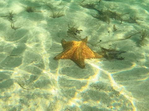 Anemoi Sailing-埃尔波韦尼尔必去景点