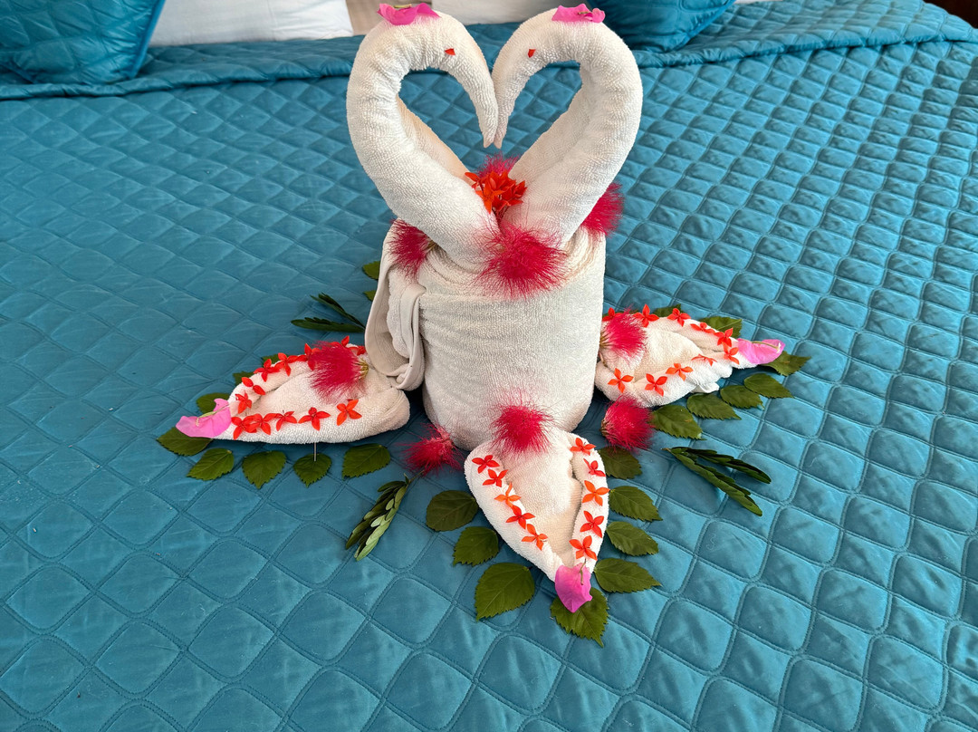 The Bagh Kanha主图