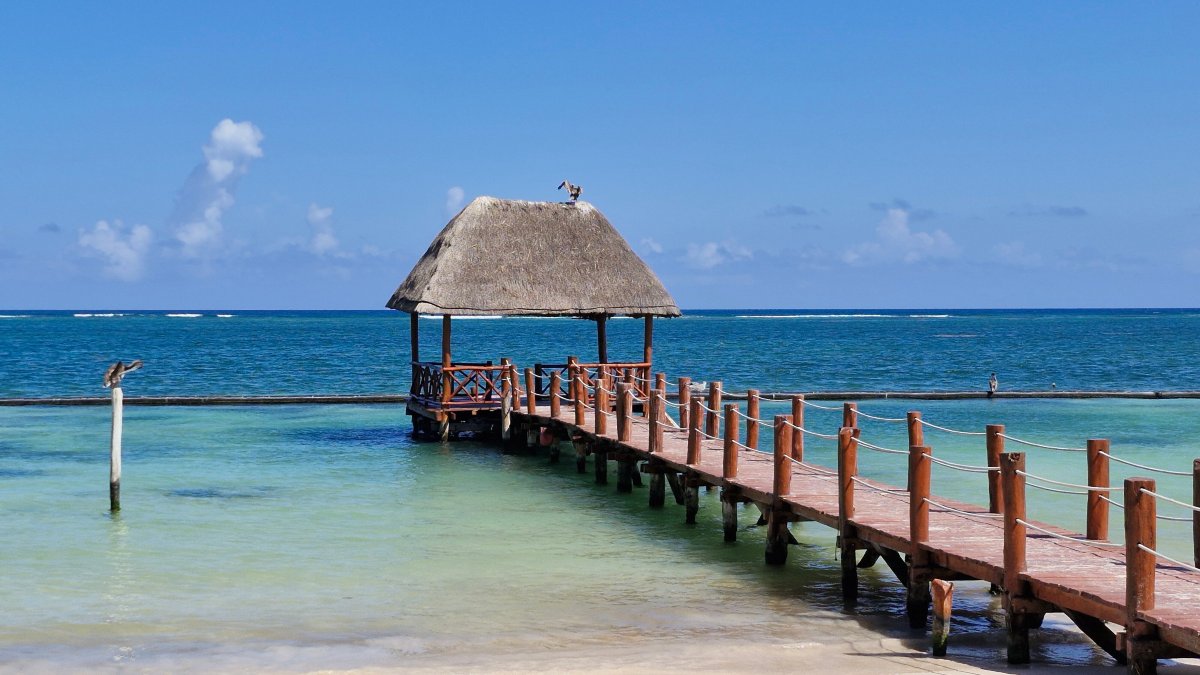 Margaritaville Island Reserve Riviera Cancun (All Ages)-泳池