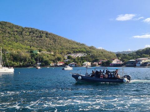 Tropicalsub Diving-Deshaies必去景点