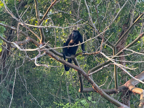 Panama Road Trips-巴拿马城必去景点