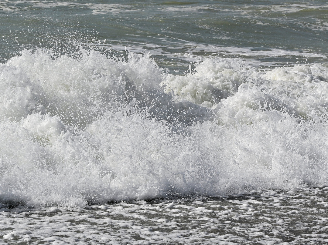 Littlehampton Beach-利特尔汉普顿必去景点