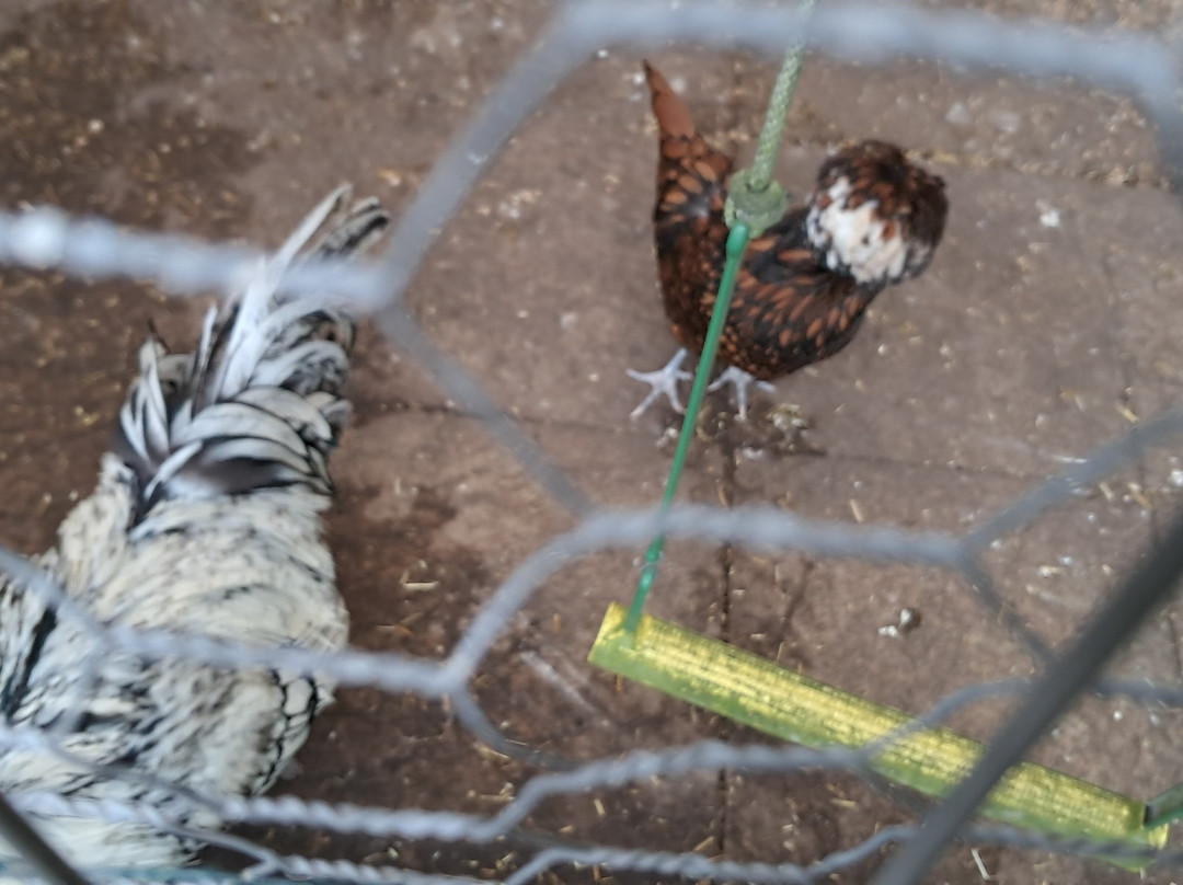 凯日曼考特庄园酒店主图