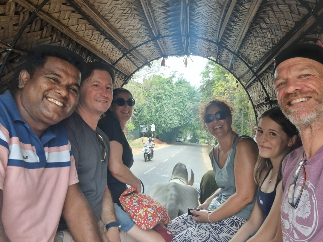 JTN Lanka Tours-班托塔必去景点
