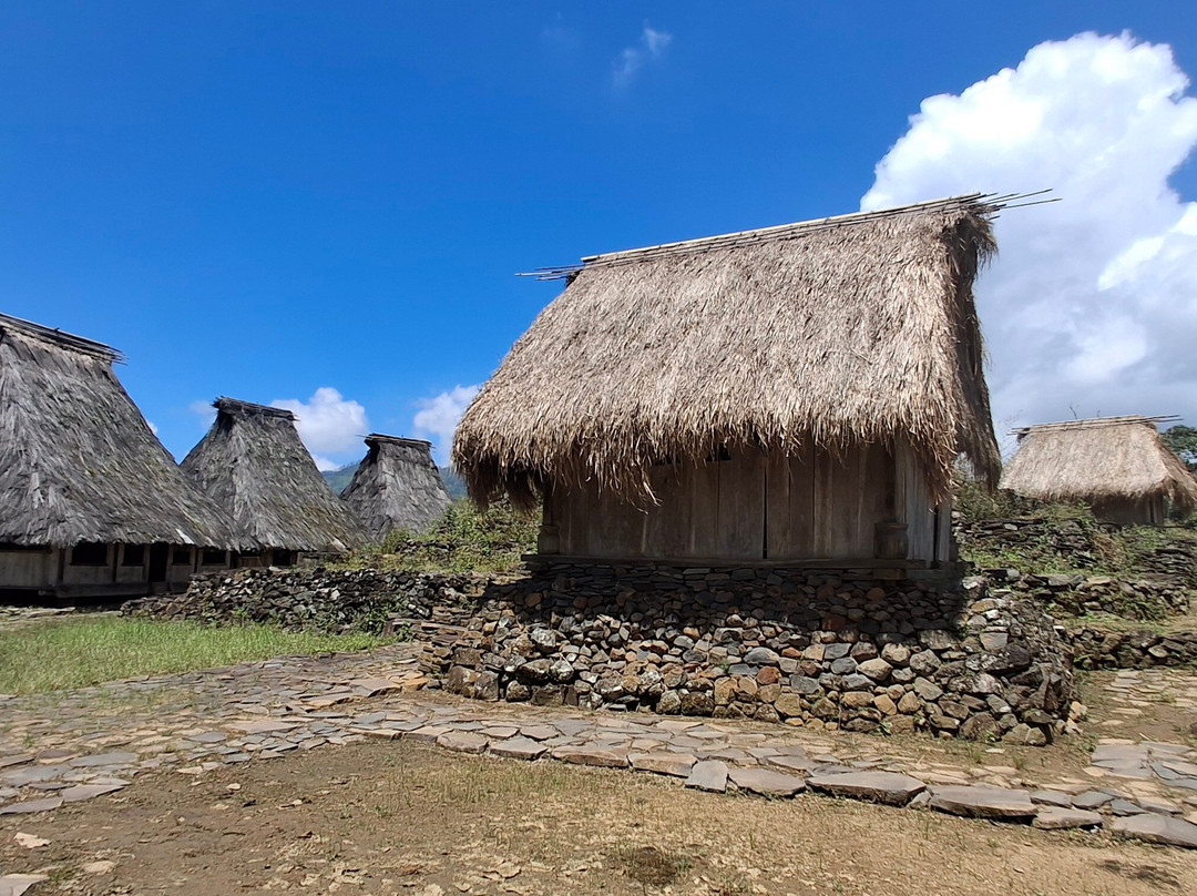 Gloria Tours & Travel-孟加锡必去景点