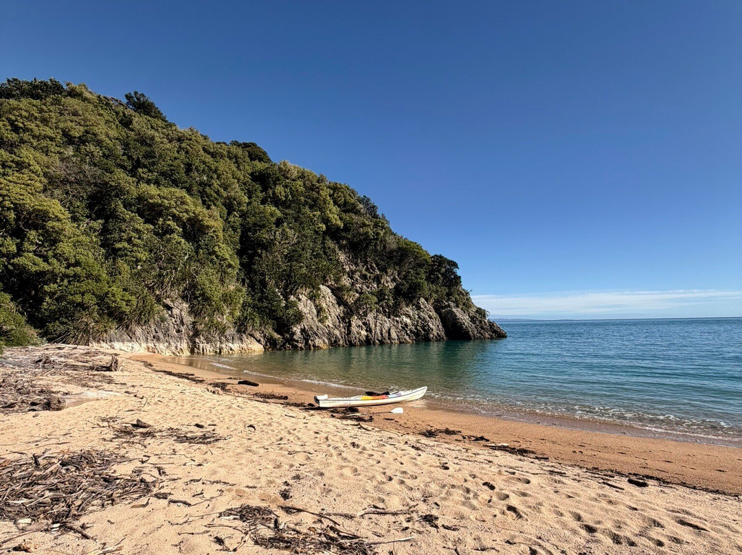 Golden Bay Kayaks-塔卡卡必去景点