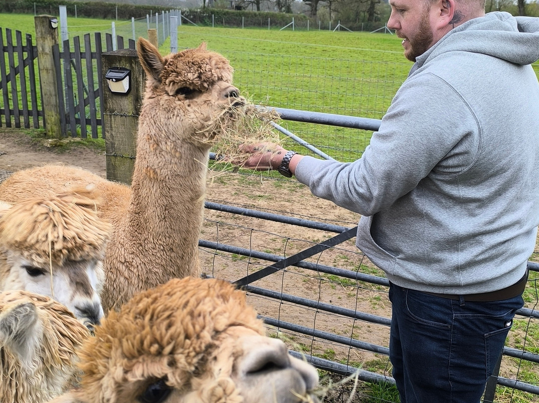 Reservoir Alpacas-Chard必去景点