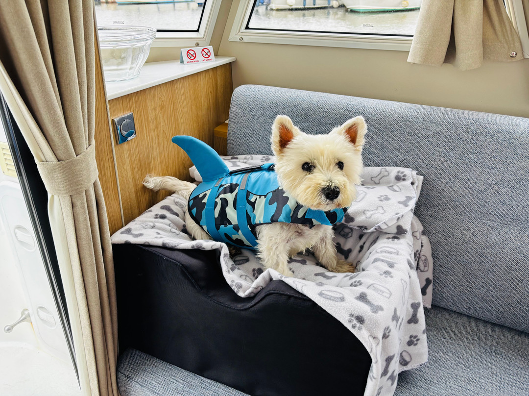 Herbert Woods-诺威奇必去景点