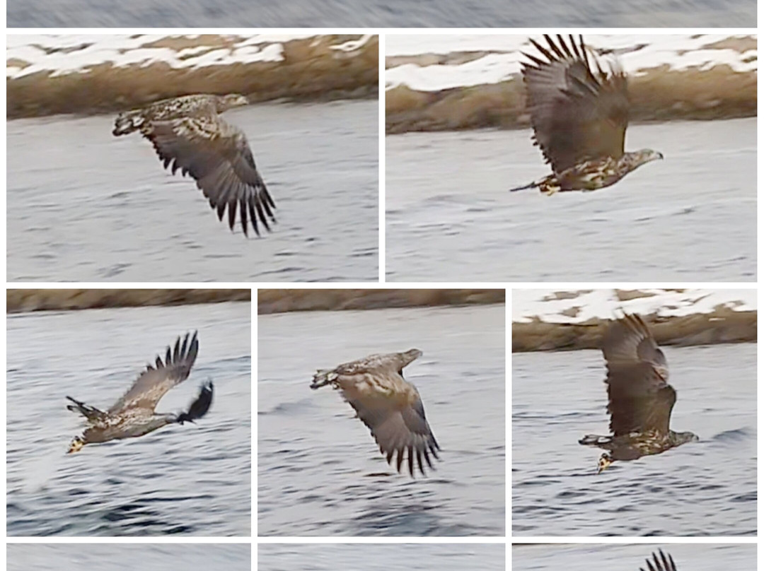 Go2Lofoten-斯沃尔韦尔必去景点