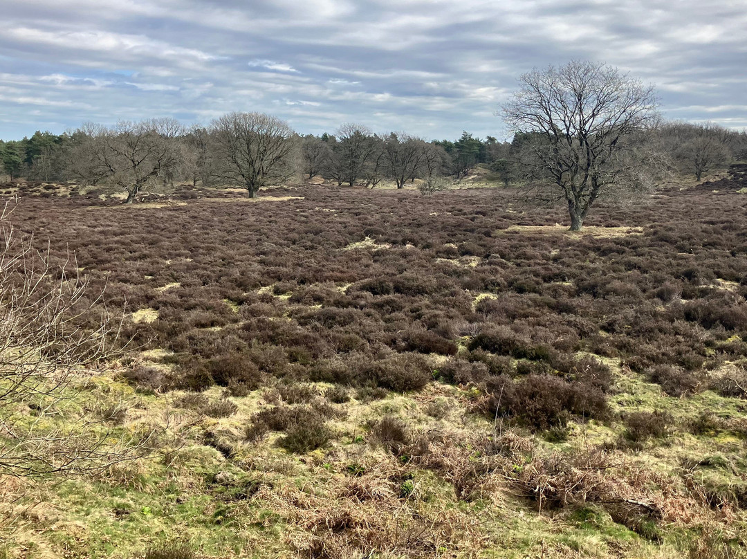 托帕肯施乐伯格庄园酒店主图