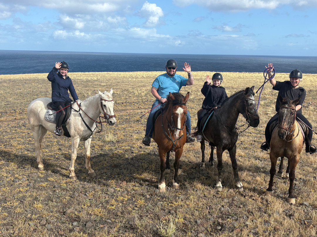 Lanzarote a Caballo-兰萨罗特必去景点