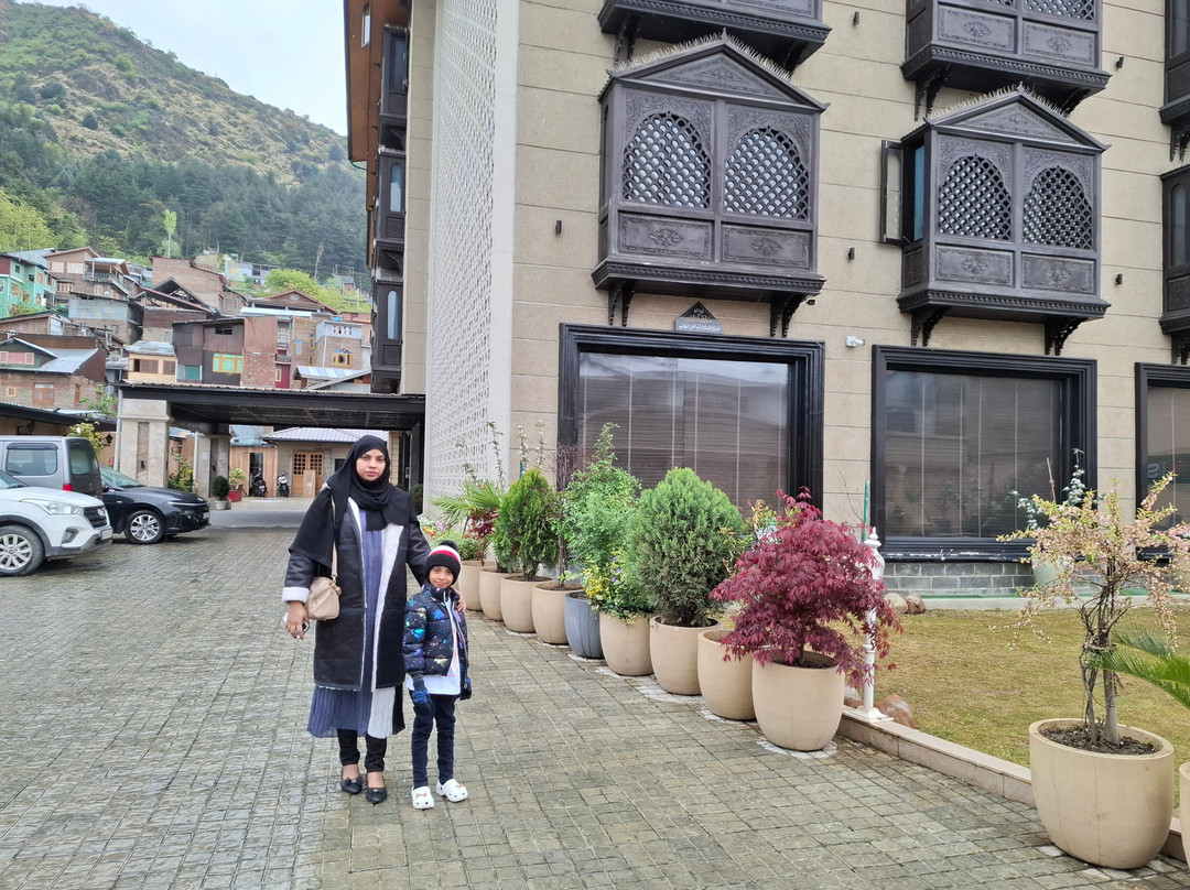 斯里纳格雪地酒店主图