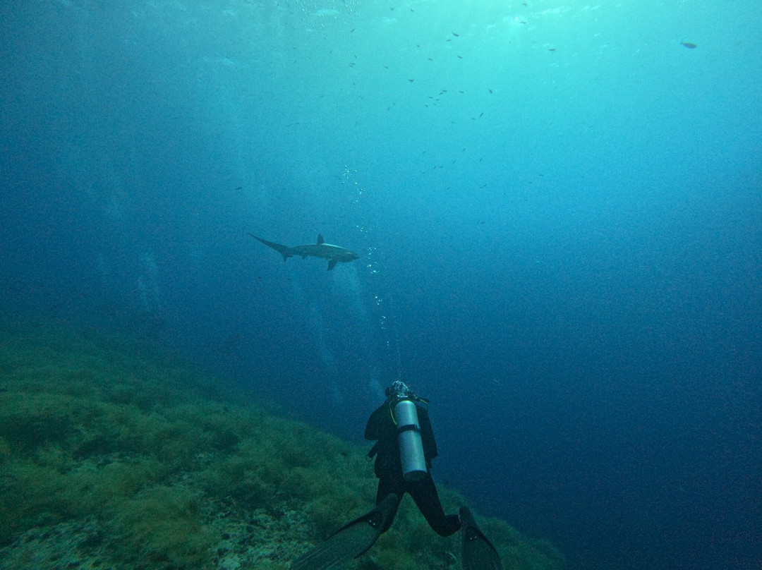 Mbi Divecenter-妈妈拍丝瓜岛必去景点