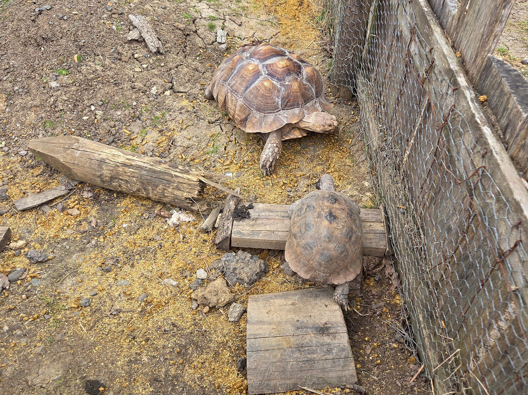 Ashlyns Wildlife Park-North Weald必去景点