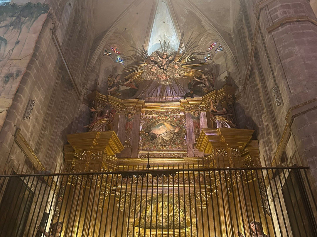 Cathedral de Mallorca-马洛卡帕尔马必去景点