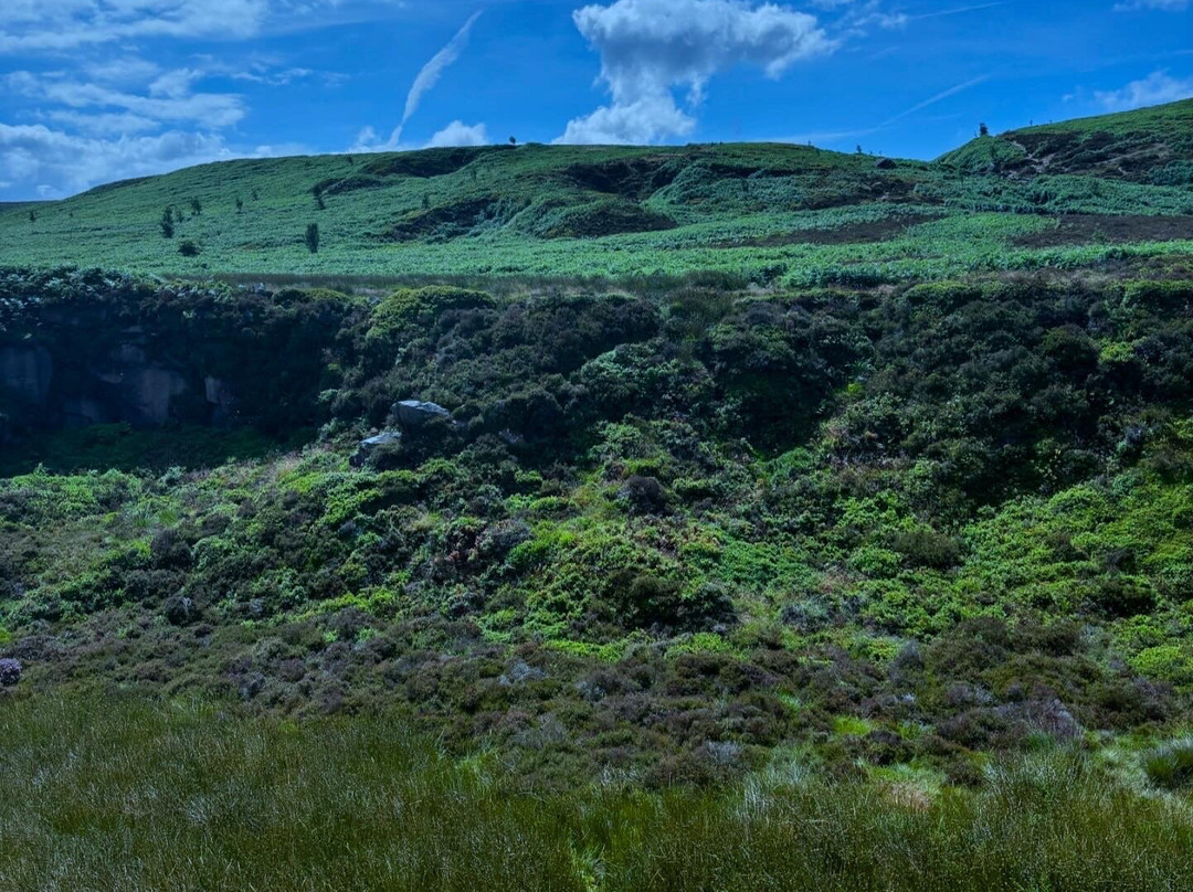 Ilkley Moor-伊尔克利必去景点