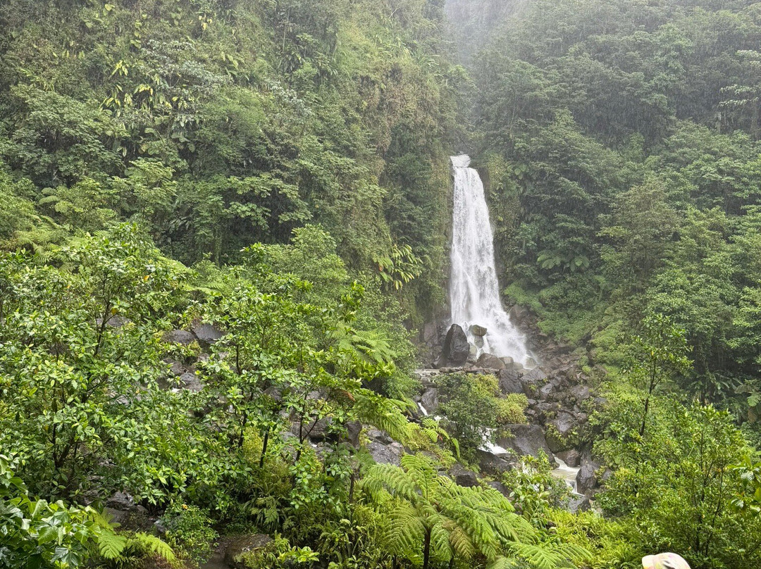 Sheppee Fun Tours Dominica-罗索必去景点