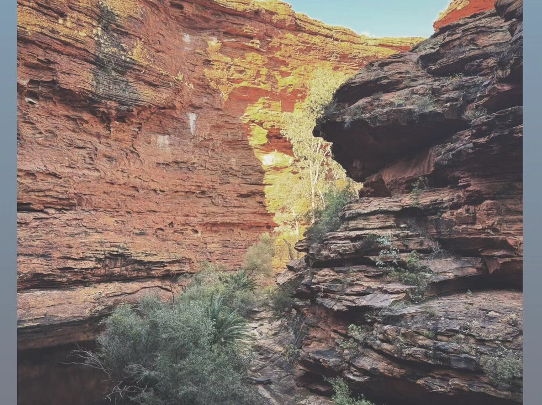 Mulgas Adventures-爱丽斯泉必去景点