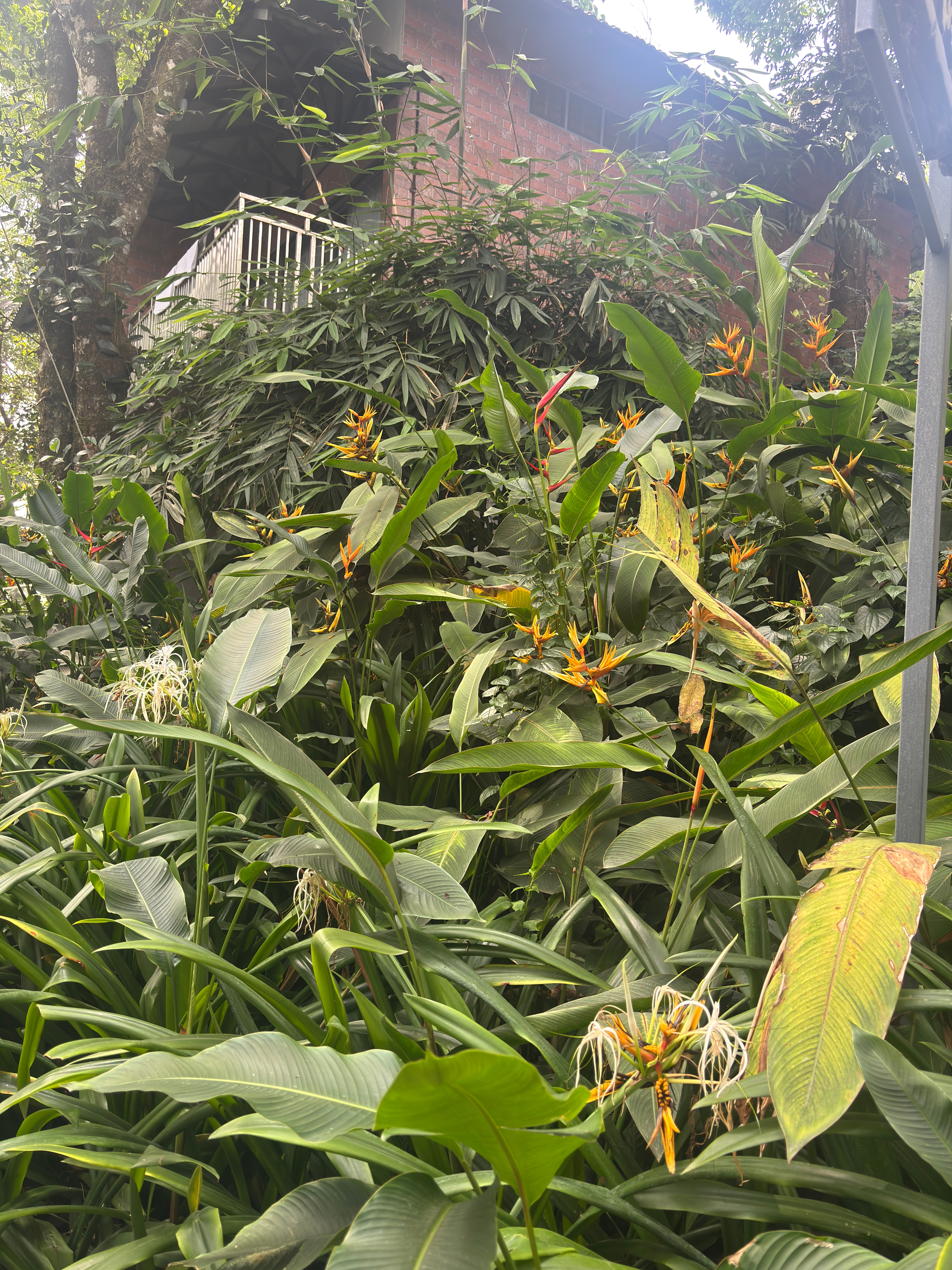 慕那尔大象通道度假村-旅行者