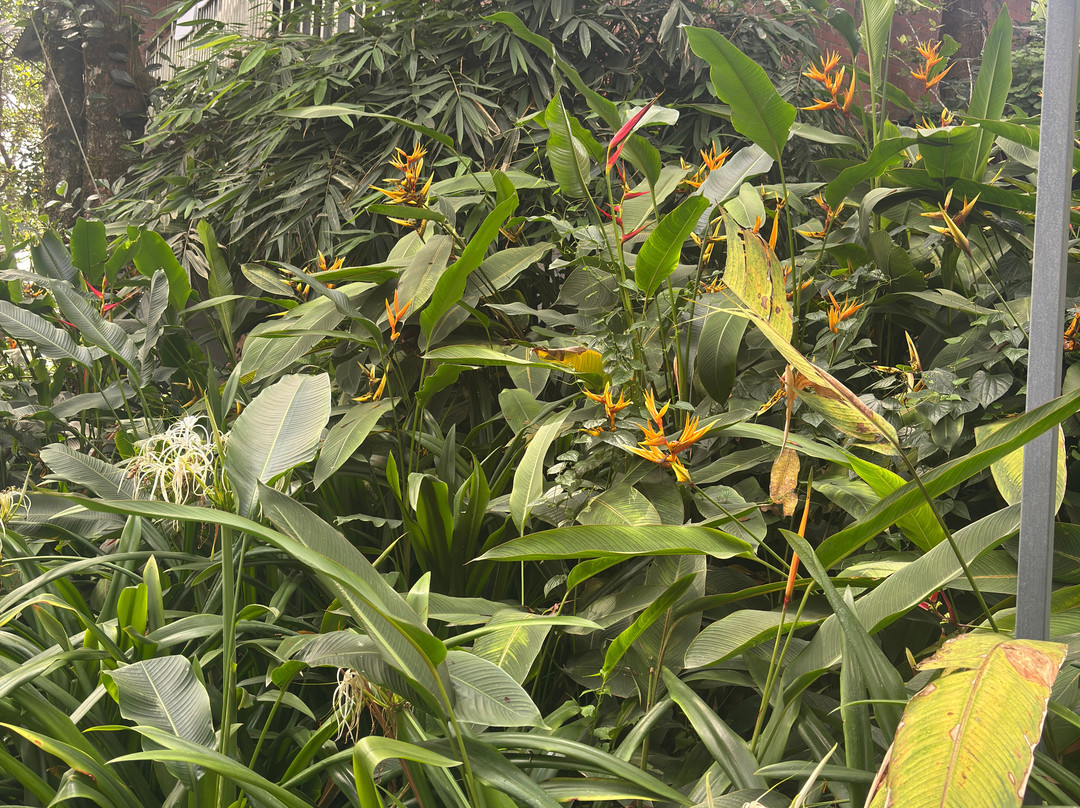 慕那尔大象通道度假村主图